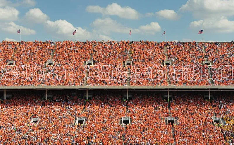 门徒娱乐平台登录入口