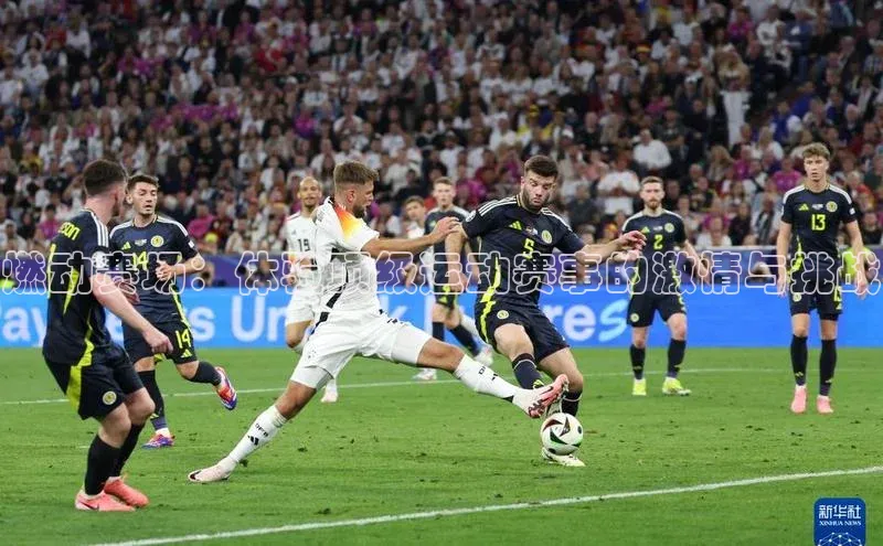 门徒平台注册登录